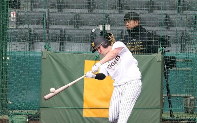 【阪神】苦しむ新外国人ディベイニーが１時間居残り特打「しっかり強い打球を打つ」巻き返しへ汗