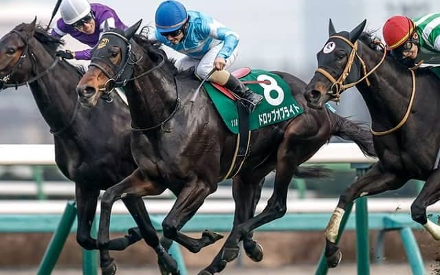 【愛知杯枠順確定】ドロップオブライトは8枠16番、チェルビアットは4枠7番