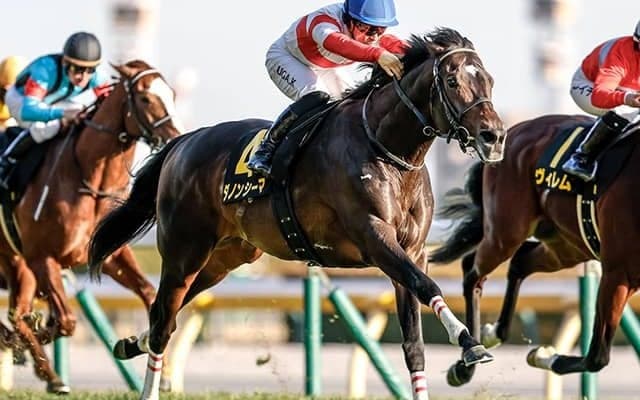 【阪神大賞典枠順確定】ダノンシーマは5枠5番、アドマイヤテラは1枠1番