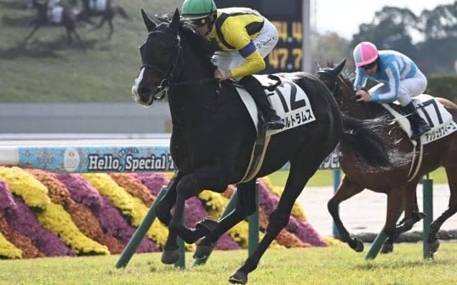 【毎日杯想定馬・騎手】アルトラムス、カフジエメンタールなど11頭