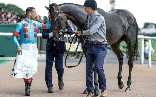 【今日の注目ポイント】中山でフラワーCと中京でファルコンS