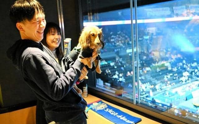 愛犬と一緒にバレーボール観戦　SVリーグで初の試み　佐賀
