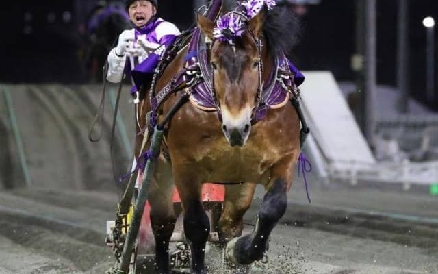 【ばんえい記念展望】ついに迎える大一番！ メムロボブサップが刻む伝説の続き