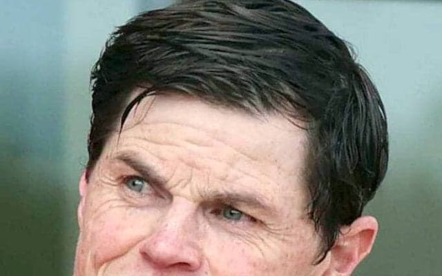 ３億円超ゲット！　ゲストハウスが豪州で２歳戦の超高額賞金レース制す　初年度産駒でＧ１制覇の父をＳＮＳ祝福「すげえよ」