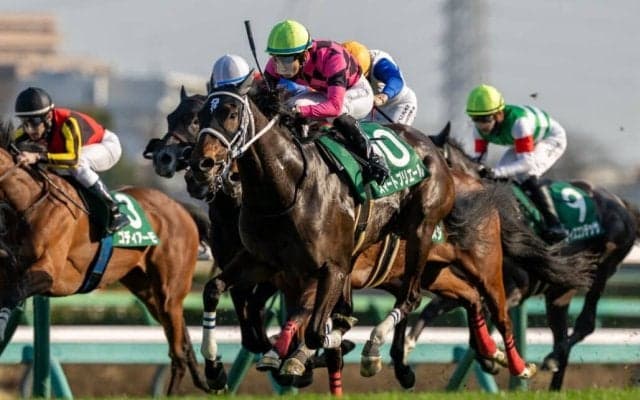 【フラワーC】良血スマートプリエールが重賞初制覇…原優介も嬉しい初タイトル