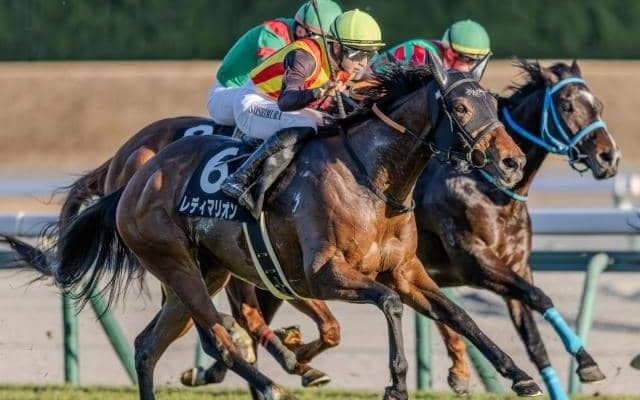 中京芝は脚質×血統でピックアップ 愛知杯はレディマリオンで好配ゲットだ