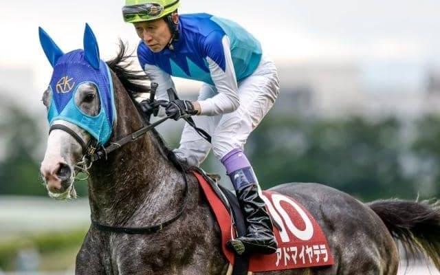 【今日の注目ポイント】阪神で阪神大賞典と中京で愛知杯