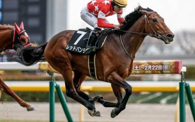 【阪神大賞典予想】上がり上位馬が良績残す 長距離戦とあってスタミナが最重要