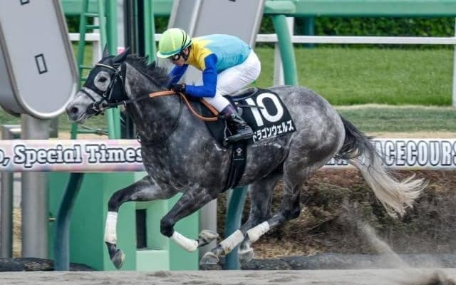 【千葉S結果】ドラゴンウェルズが好位から抜け出し2連勝