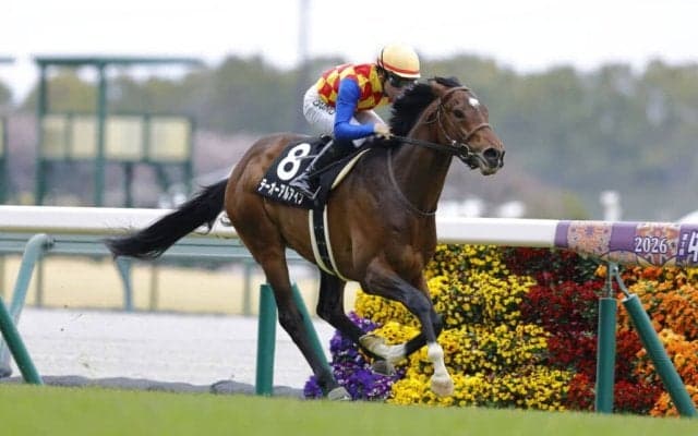 【フローラルウォーク賞】8番人気テーオーアルアインが最内強襲、鮮やかV