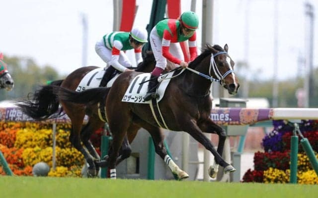 【中京4R】今村聖奈が今年3勝目…ロザーンジュで鮮やか差し切り