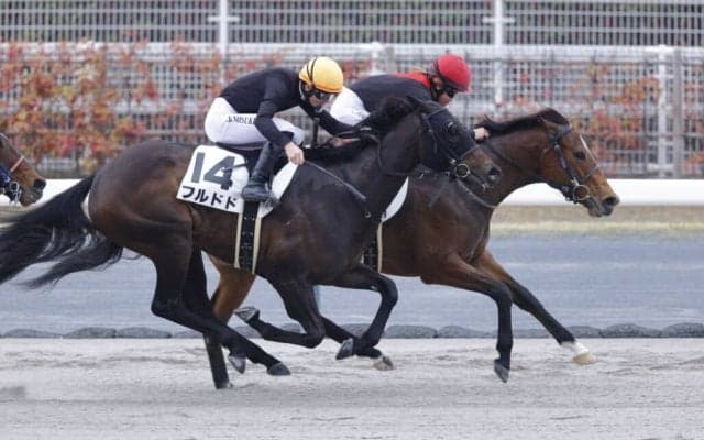 【中京12R】今村聖奈が1日2勝…シルフズミスチーフで接戦を制す