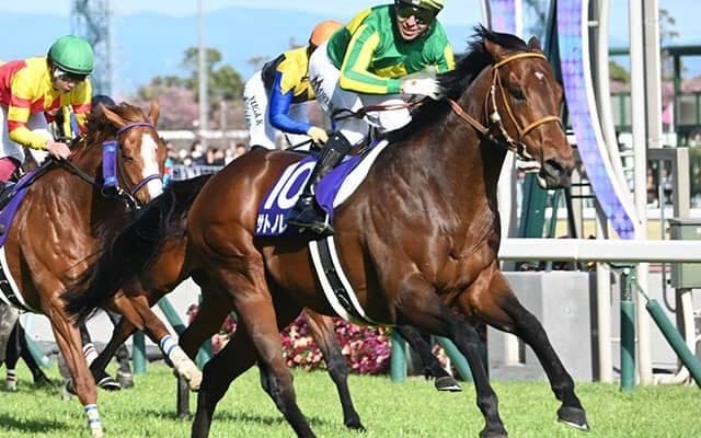 春のスプリント王決定戦・高松宮記念など4重賞 海外レースにも注目/今週の競馬界の見どころ