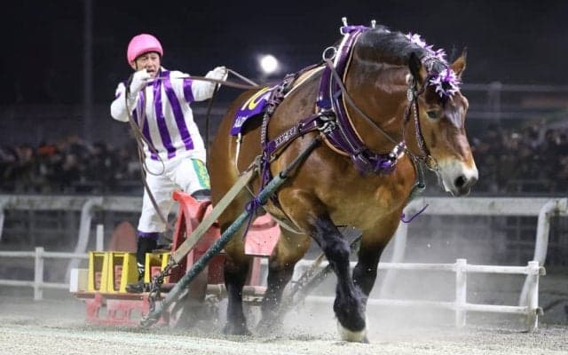 【ばんえい記念】怪物が再び頂点へ…メムロボブサップが連覇達成、3度目の制覇