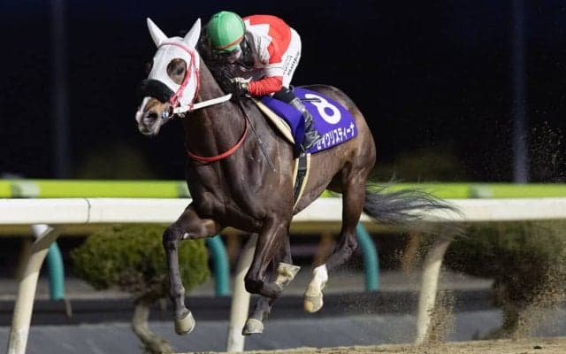 【水沢・あやめ賞】セイクリスティーナ、遊びながら5馬身差V