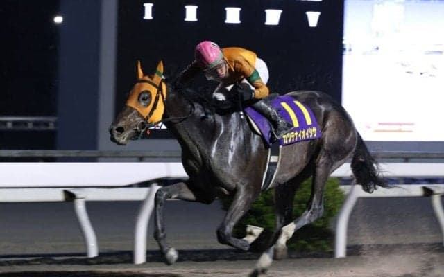 【高知・ネクストスター西日本】岡村「騎手人生においてもカツテナイほどの馬」カツテナイオイシサが重賞連勝