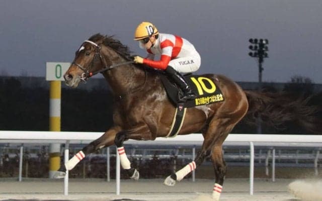 【黒船賞】ダノンフィーゴは6枠8番へ