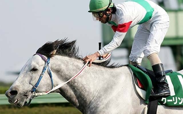 和田竜二騎手とのコンビが印象的なクーリンガーが制したマーチSを回想