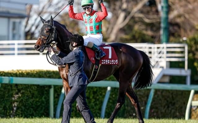 【日経賞見どころ】有馬記念2着のコスモキュランダが重賞2勝目を狙う