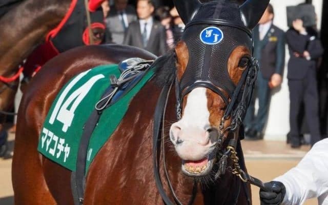 【高松宮記念】ノーザンファーム生産馬が20年ぶり制覇なるか 3年連続参戦のママコチャが最有力候補