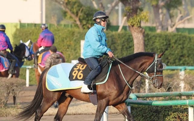 【毎日杯】ウップヘリーアは１週前に美浦で３歳一番時計をマークしてから栗東入り　黒岩調教師「体は成長しています」