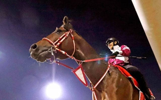 【ドバイ・ワールドＣ】フォーエバーヤング悲願へ　最大のライバルは初ダートの前哨戦を快勝したメイダーン　出走９頭で確定