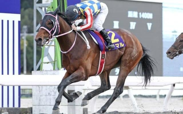 シャマルが史上2頭目の快挙へ 黒船賞で“平地同一グレード重賞4連覇”を狙う