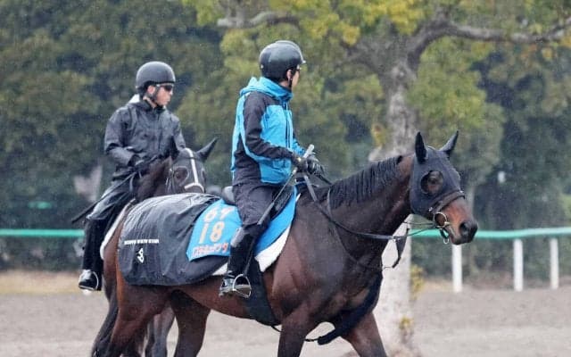 【日経賞】有馬記念２着馬コスモキュランダは昨年末からの好調をキープ　加藤士調教師「変わらずに来ています」