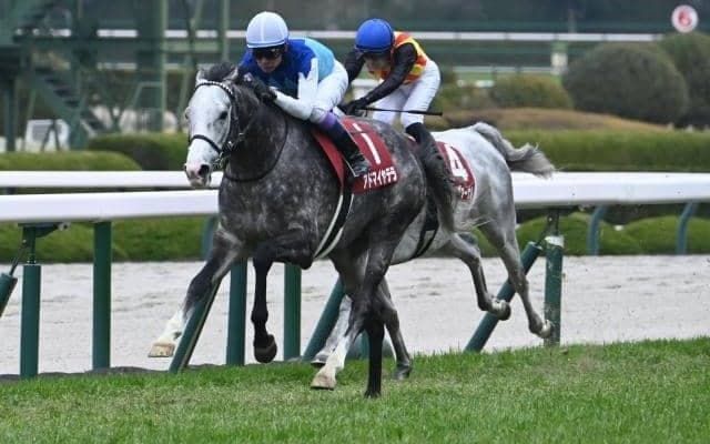 アドマイヤテラが阪神大賞典V 父レイデオロは芝長距離で“史上最強クラス”の種牡馬