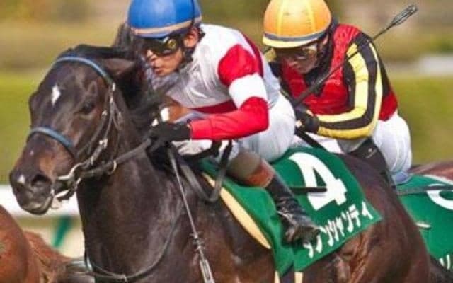 ダノンシャンティとスマートオーディン 毎日杯史上唯一の父仔制覇を振り返る