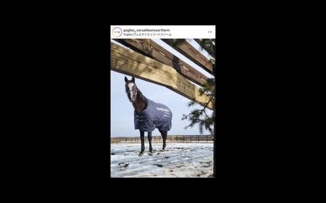 有名牧場が見学マナーに一石　「ありえない」「死活問題」「動物園じゃないんだから」ネットは賛同と違反者らへ非難の声　