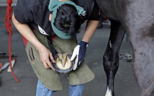 第32回装蹄競技大会に過去最多17名がエントリー 川井伸太郎さんが3連覇