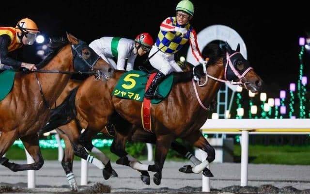 【高知・黒船賞注目馬】当地唯一のダートグレード競走 春の短距離戦線を占う一戦