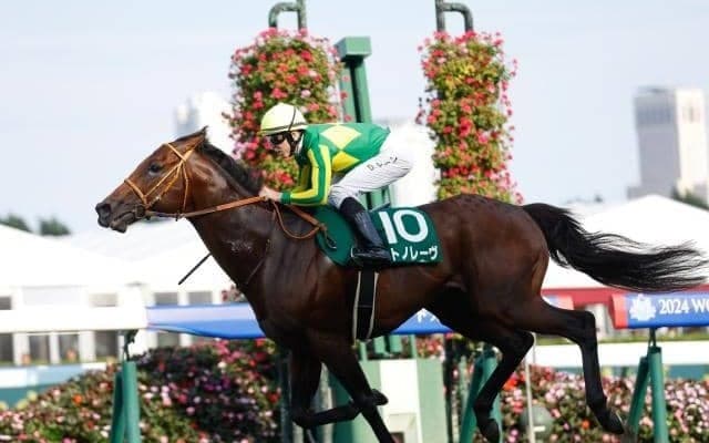 【高松宮記念予想オッズ】サトノレーヴが予想1番人気