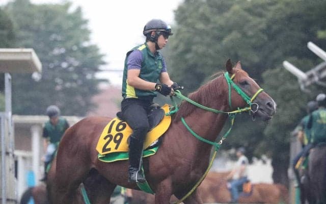 【日経賞】２頭出しの奥村武厩舎に激走の予感！　日経新春杯１２番人気で４着マイネルケレリウスは「中山は合いそう」と手応え