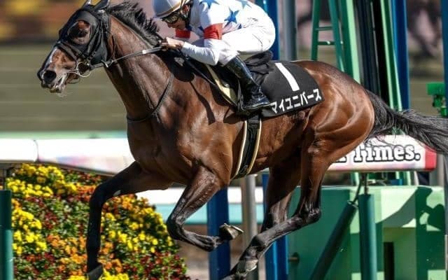 【日経賞予想オッズ】マイユニバースが予想1番人気