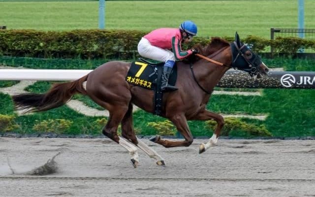 【マーチS予想オッズ】オメガギネスが予想1番人気