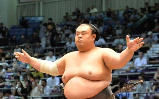 元幕内の英乃海ら１１人の引退を発表　千代丸は若者頭へ転職