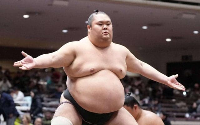 引退力士11人発表　千代丸、英乃海、紫雷、大翔鵬ら／一覧