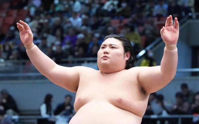 新十両に大花竜　栃大海、白鷹山、炎鵬は再昇進／番付編成会議