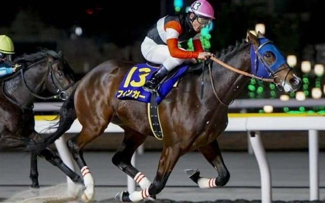 【大井・京浜盃注目馬】3歳ダート三冠の前哨戦 羽田盃に向かって階段を駆け上がるのは