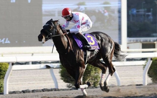 【黒船賞】人気のダノンフィーゴを封じた、マテンロウコマンドが完勝V