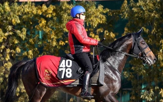 【注目馬動向】３億３０００万の高額馬ペイジャーが繋靭帯炎を発症　復帰は秋頃を予定　１月に新馬Ｖ