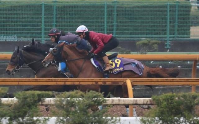 ダノンデサイル、大阪杯1週前追い切り速報/栗東トレセンニュース