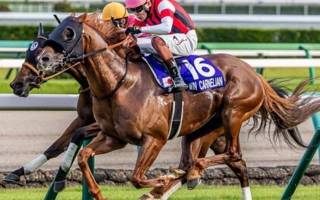 【高松宮記念】JRA史上初の偉業へ 9歳ウインカーネリアンがスプリントGI連勝狙う