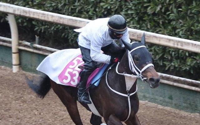 【注目馬動向】フラワーＣ勝ちのスマートプリエールは樫の舞台に照準　大久保調教師「オークスを目標に考えていきたい」