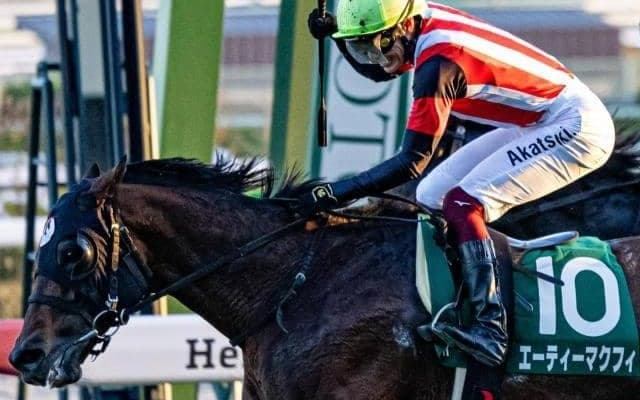 【高松宮記念】富田暁騎手がGI初制覇へ 25年京阪杯覇者のエーティーマクフィで挑む