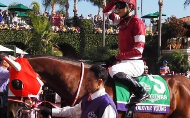 【ドバイWC】勝てば獲得賞金は世界歴代トップ フォーエバーヤングがロマンチックウォリアー超えなるか