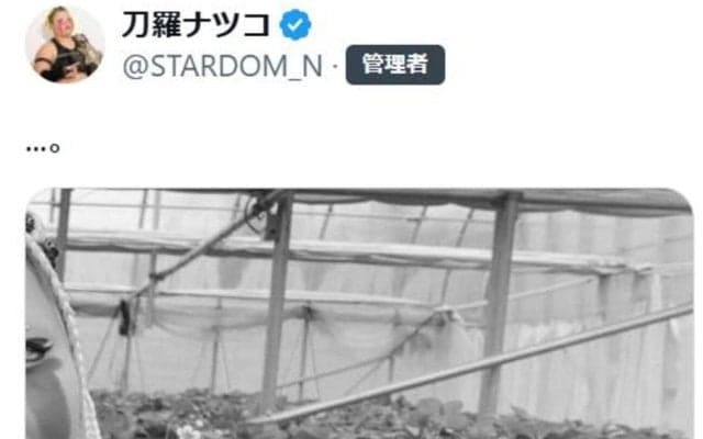 【スターダム】刀羅ナツコのイチゴ狩り？写真にファン「悪ぶっていても可愛さだけは隠せない」