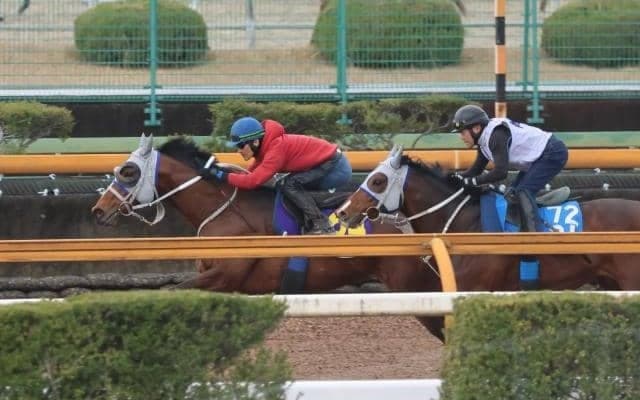 メイショウタバル、大阪杯1週前追い切り速報/栗東トレセンニュース
